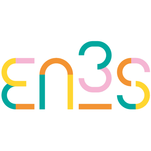 LOGO EN3S