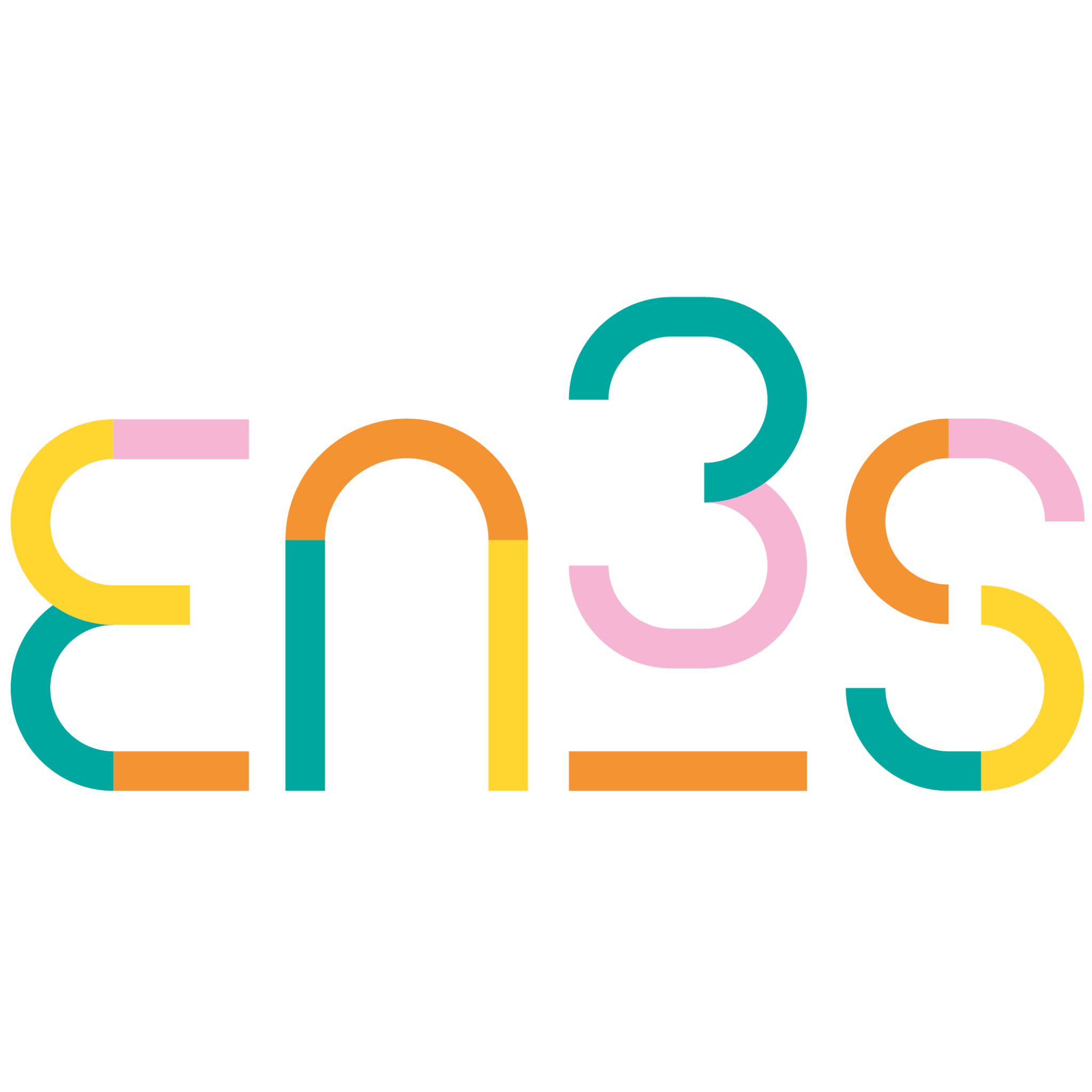 LOGO EN3S