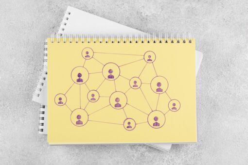 Organisation EN3S