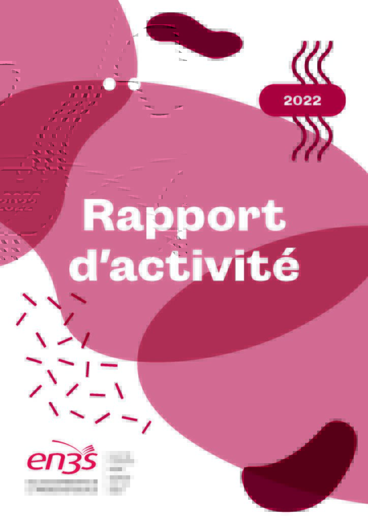 Rapport d'activité 2022